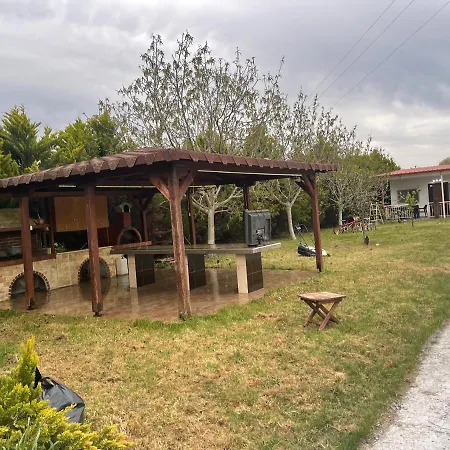 Lion Village